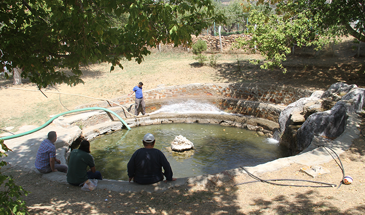 Konya’daki Balıklıpınar kuraklık nedeniyle kurumaya yüz tutunca, “efsanevi“ balıkları da tehlikeye girdi