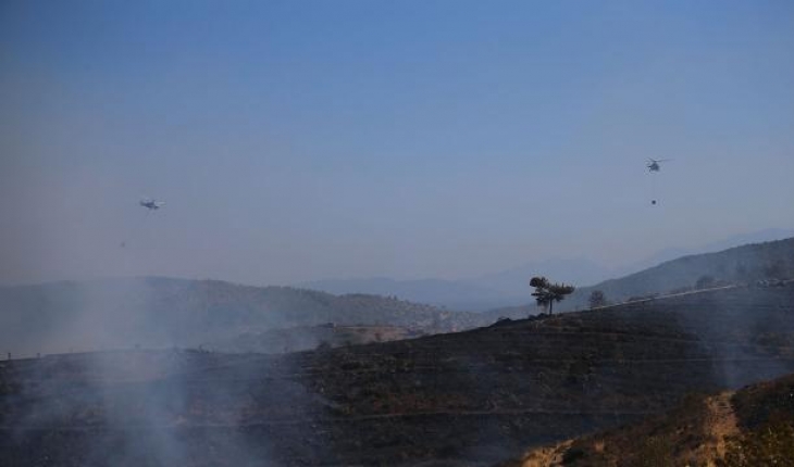 Bodrum'da çıkan orman yangını kontrol altında