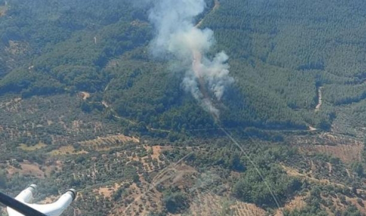 Ankara’daki orman yangını kontrol altına alındı