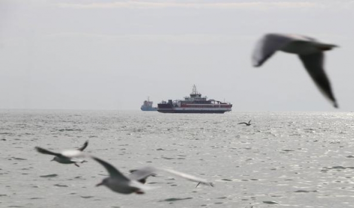 Marmara'da oksijen azalıyor: Daha az balık olabilir