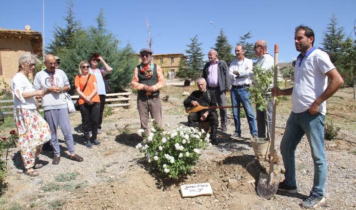 Sonsuz Şükran Köyü'nde Yunus Emre anısına çınar fidanı dikildi