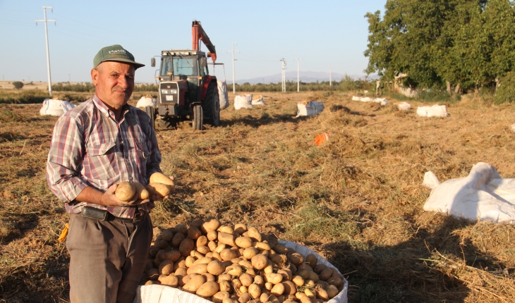 Beyşehir’de cipslik patates hasadı başladı