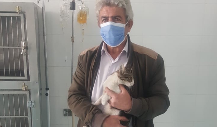 Akşehir Belediyesi yaralı kediye sahip çıktı