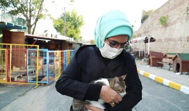 Emine Erdoğan’dan “Hayvanları Koruma Günü“ paylaşımı
