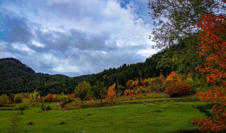 Sonbaharın gelişi ile sakin şehir Şavşat’ta renk cümbüşü başladı