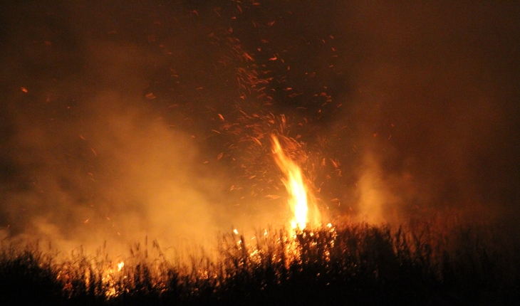 Konya’da sazlık alanda çıkan yangın söndürüldü