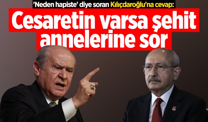 ’Neden hapiste’ diye soran Kılıçdaroğlu’na cevap: Cesaretin varsa şehit annelerine sor