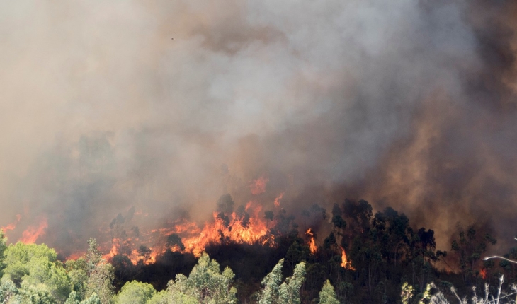 Orman yangınına neden oldukları iddiasıyla tutuklanan 7 turist serbest bırakıldı