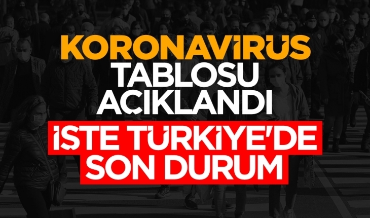 Türkiye'de 23 bin 948 kişinin Kovid-19 testi pozitif çıktı, 201 kişi hayatını kaybetti