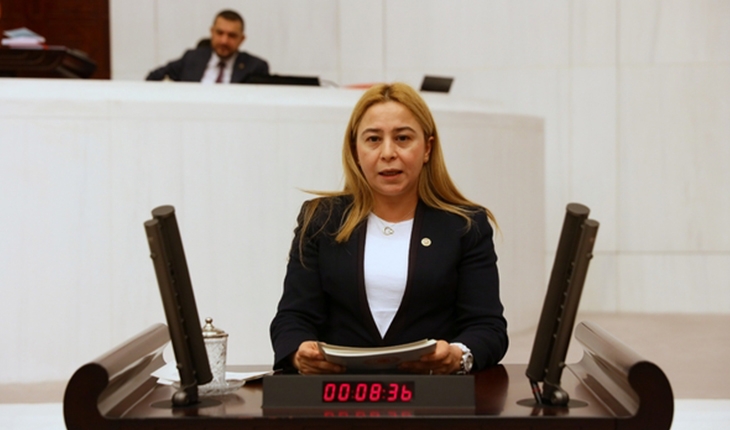 MHP Konya Milletvekili Esin Kara, İYİ Partili Türkkan'ı kınadı