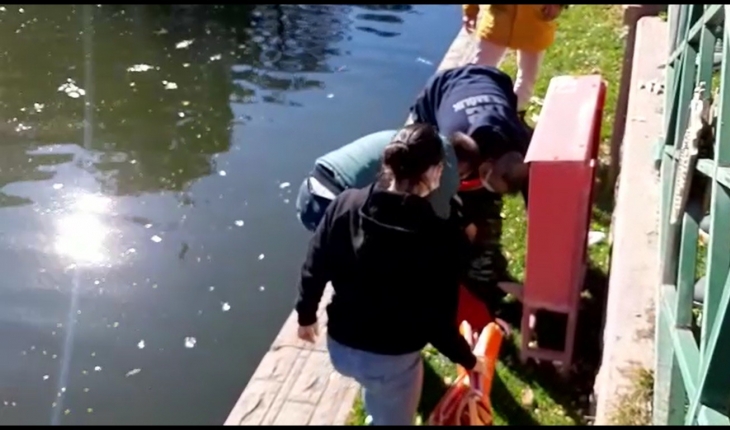 Porsuk Çayı'na düşen kadını vatandaşlar kurtardı