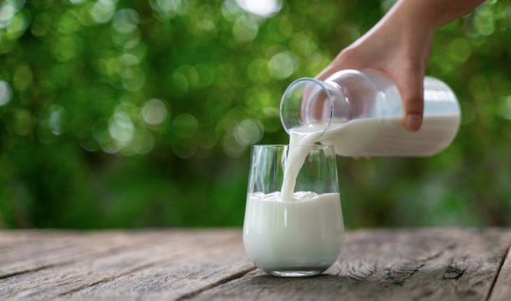 TİGEM, 77 bin tona yakın inek sütü satacak