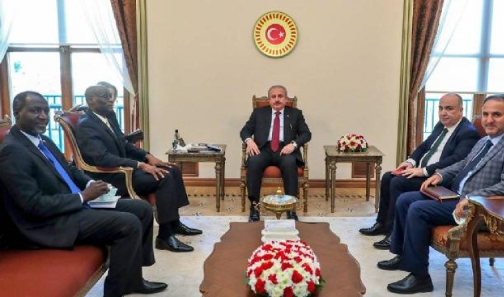 TBMM Başkanı Şentop, 2 ülkenin büyükelçilerini kabul etti