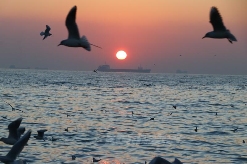 Tekirdağ’da gün doğumu