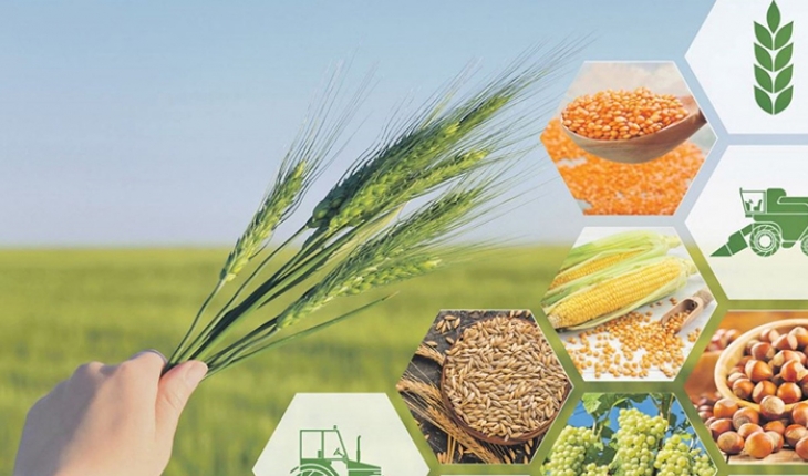 Konya tarım, ormancılık, balıkçılık sektöründe ilk sırada