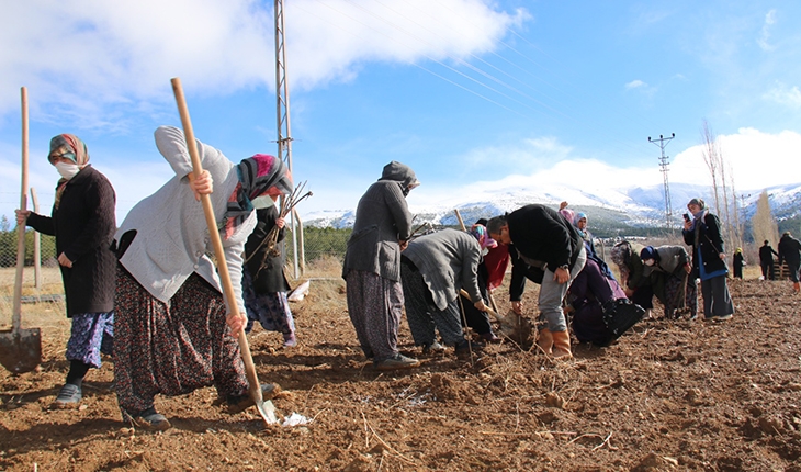Derbent’li kadın çiftçiler tarımsal yeniliklerle buluşuyor
