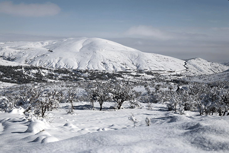​Türkiye'nin tahıl ambarında kar sevinci