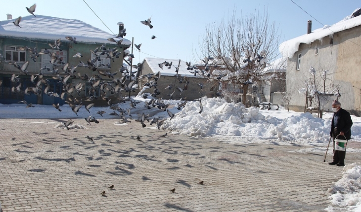 Yalıhüyük'te yaşlı kişi kış aylarında güvercinleri besliyor