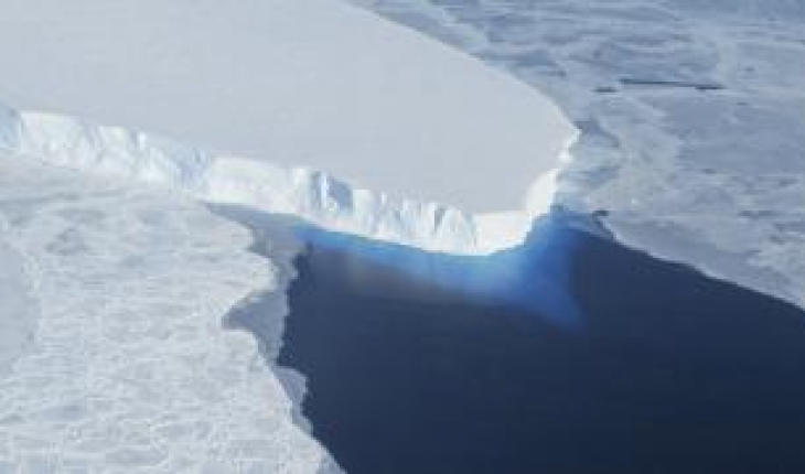 Antarktika’da yeni keşif: Buzun altında 77 canlı türü bulundu