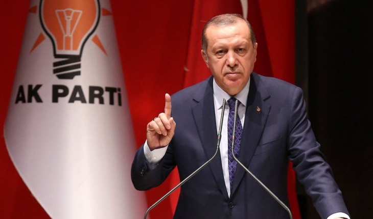 Erdoğan’dan belediyelere ’sahipsiz hayvan’ çağrısı: Adımları süratle atın