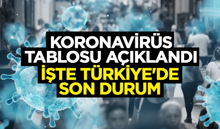1 Ocak Türkiye'de koronavirüs tablosu