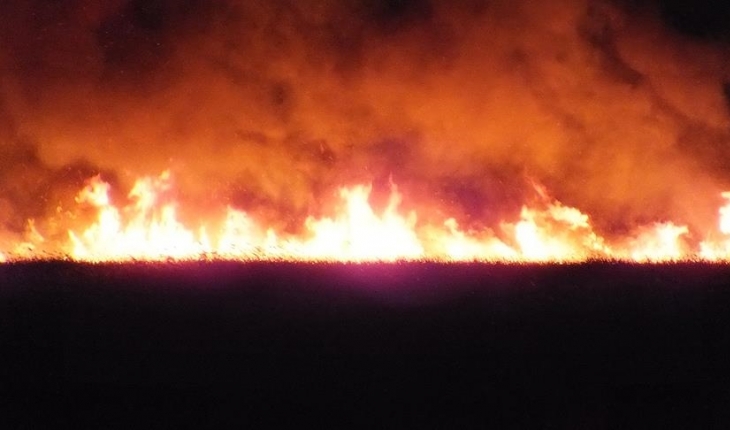 Arjantin’de 4 gündür süren orman yangınında 80 bin hektarlık alan zarar gördü