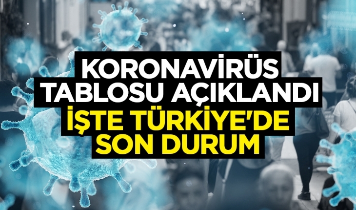 14 Ocak Koronavirüs Tablosu açıklandı