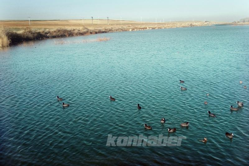 Konya Ovası’nın kuraklıktan etkilenmeyen gölü koruma altına alındı