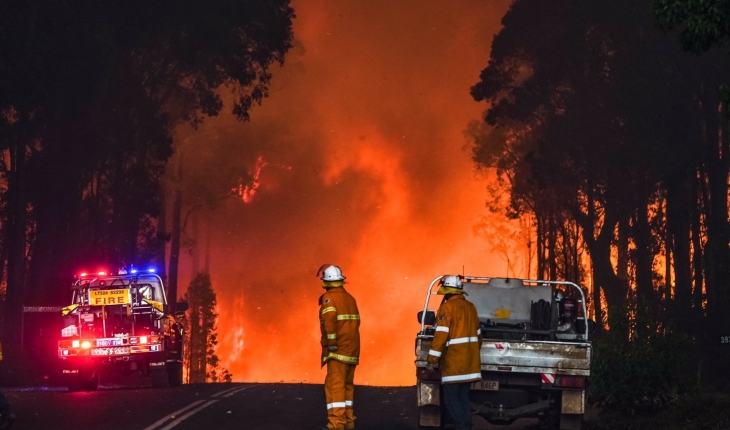 Avustralya’da orman yangını: 60 bin hektar alan küle döndü