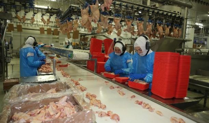 Türkiye'de geçen yıl 2,2 milyon ton tavuk eti üretildi