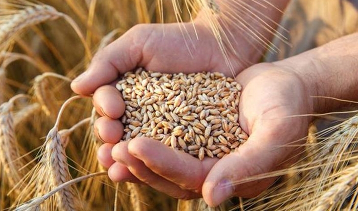Buğday fiyatları 13 yılın zirvesinde: Küresel enflasyonu etkiler mi?