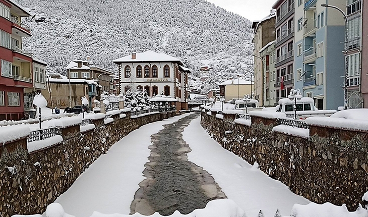 Konya'da kar yağışı ağaçları devirdi