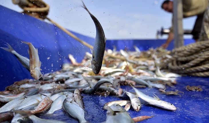3 ilde afetten zarar gören balıkçılara destek ödemesi