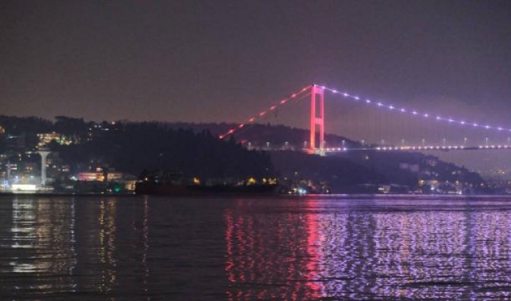 Ayçiçeği yağı yüklü gemiler Türkiye'de