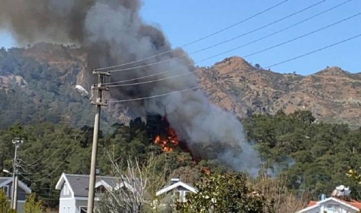Fethiye'deki orman yangını kontrol altında