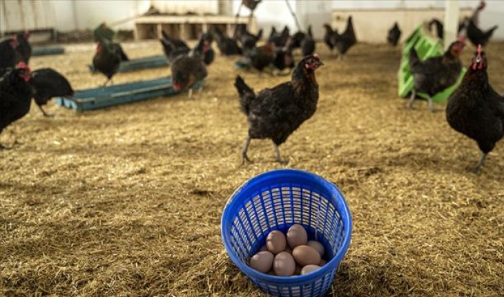 Tarım Kampüsü ile tarım ve hayvancılık verimli yapılacak