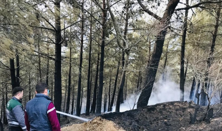 Çanakkale’de çıkan orman yangını 18 saat sonra kontrol altında