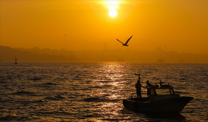 İklim değişikliği nedeniyle Marmara Denizi'nde yüzey suyu sıcaklığı artıyor