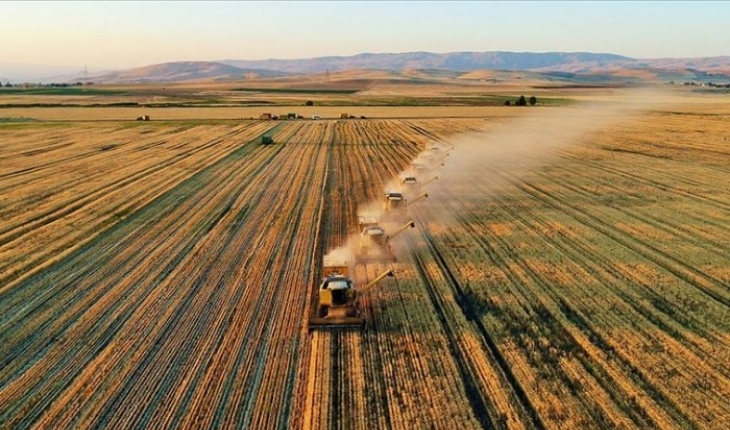 Türkiye’nin tarım ihracatı arttı