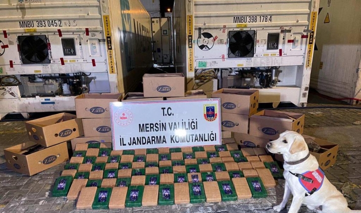 Bakan Soylu duyurdu: Mersin Limanı’nda 258 kilo kokain ele geçirildi