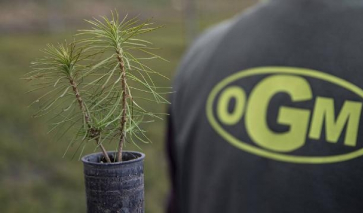 OGM, her anne için bir fidan sahiplendirecek