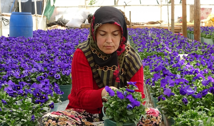Bursa'da köylü kadınlar yılda 6 milyon liralık tohum yetiştiriyor