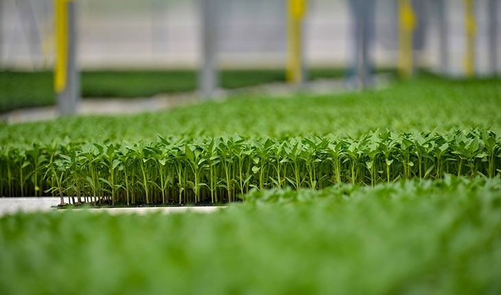 Konya fide’de satışlar başladı