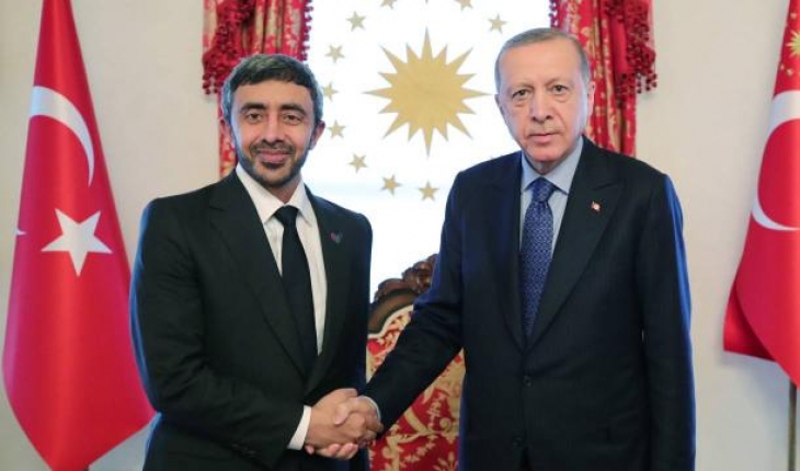 Cumhurbaşkanı Erdoğan, BAE Dışişleri Bakanı Al Nahyan'ı kabul etti