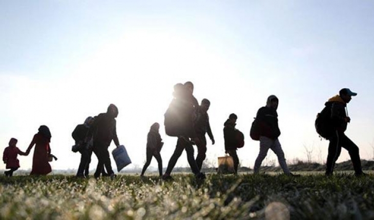 240 düzensiz göçmen yakalandı