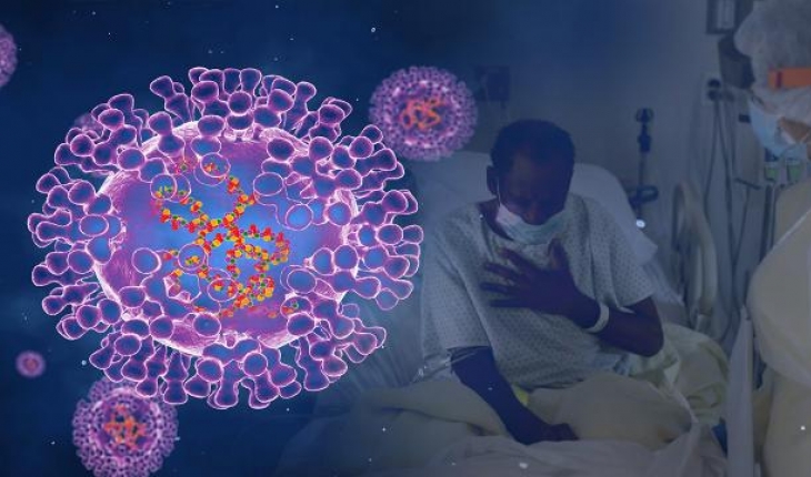 En fazla maymun çiçeği vakası Avrupa’da