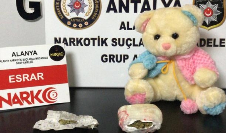 Oyuncak ayıdan uyuşturucu çıktı
