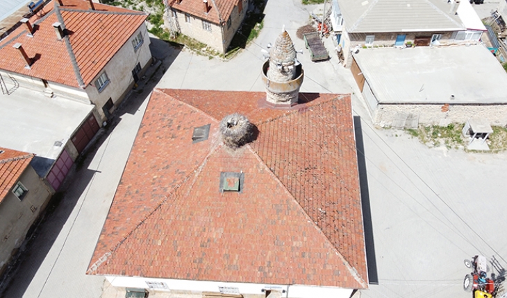 Tarihi caminin çatısı leyleklere yuva oldu