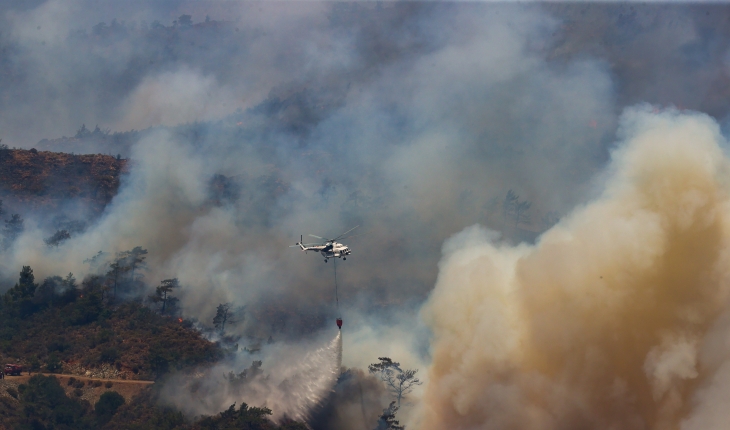 Bakan Koca'dan Marmaris'teki orman yangınına ilişkin açıklama
