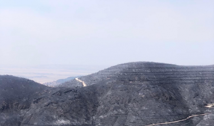 KKTC’deki yangın büyük oranda kontrol altına alındı